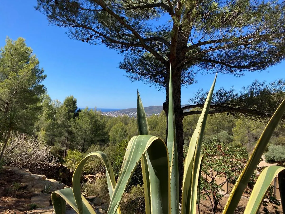 Villa Avec Jacuzzi Sur Les Hauteurs De La Ciotat Ceyreste