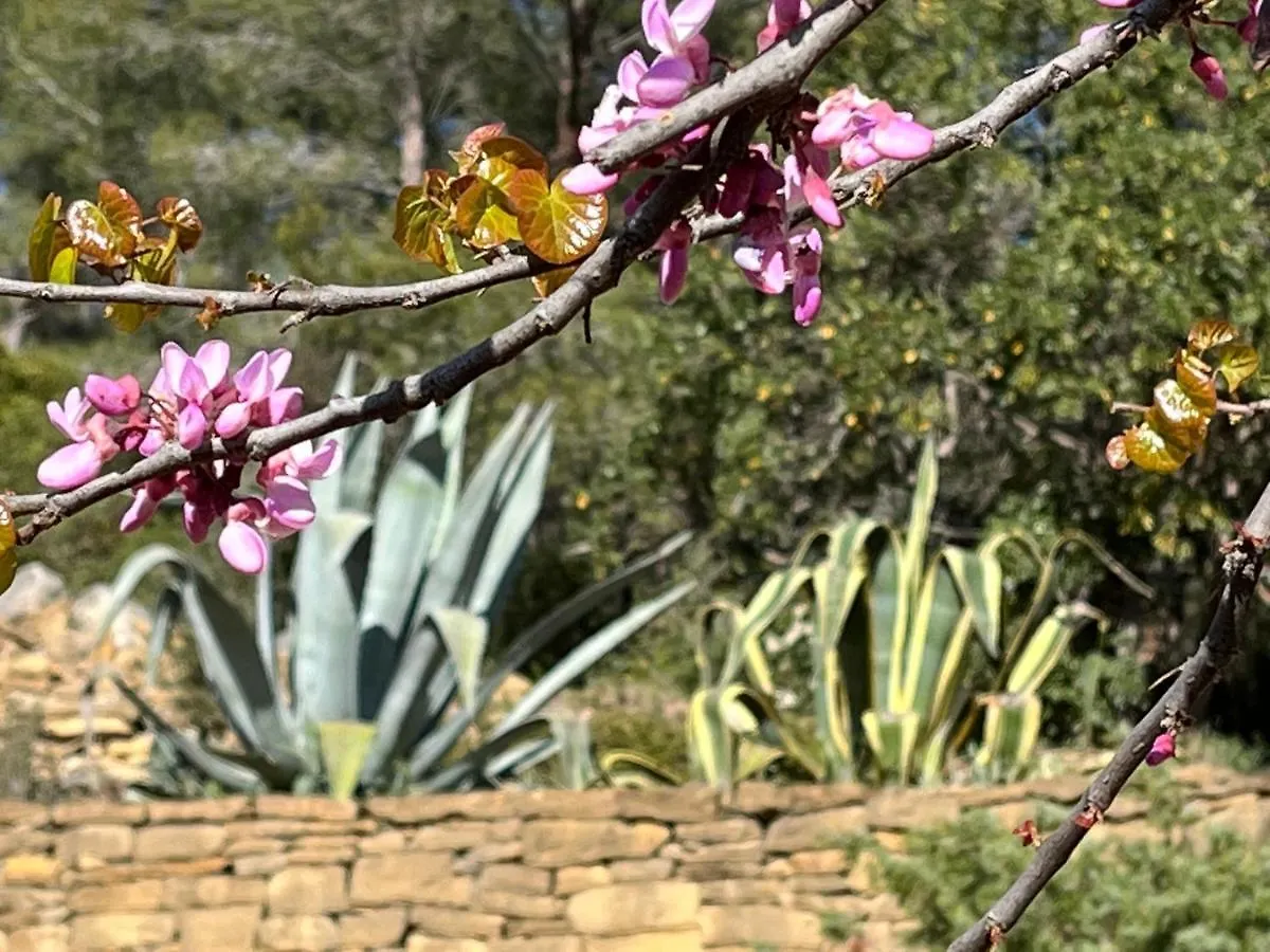 Villa Avec Jacuzzi Sur Les Hauteurs De La Ciotat Ceyreste